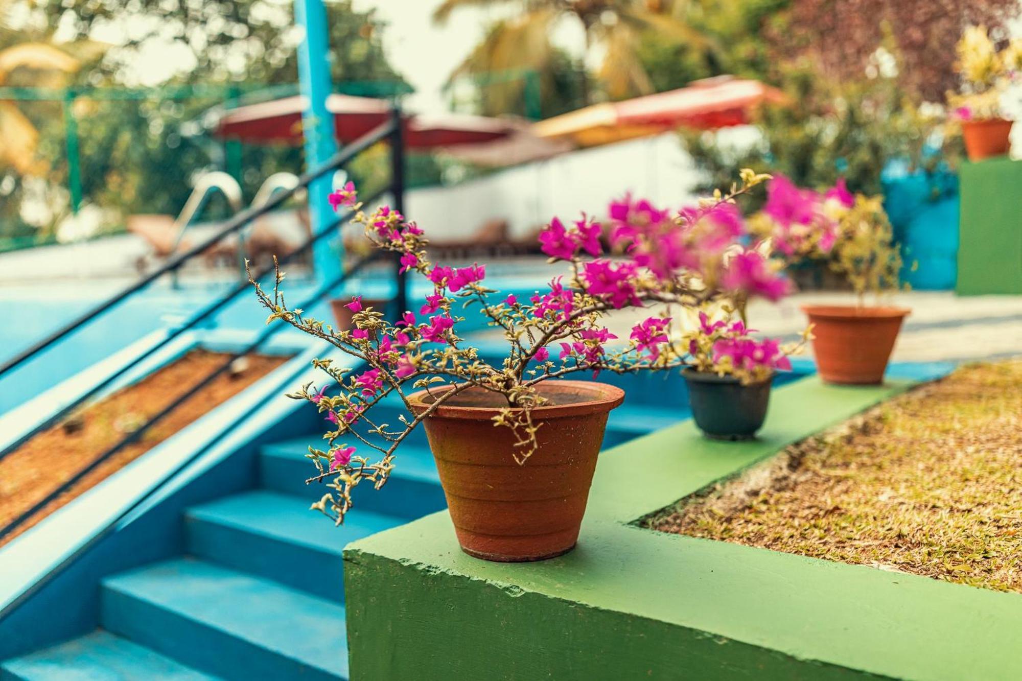 Villa Талпе Экстерьер фото